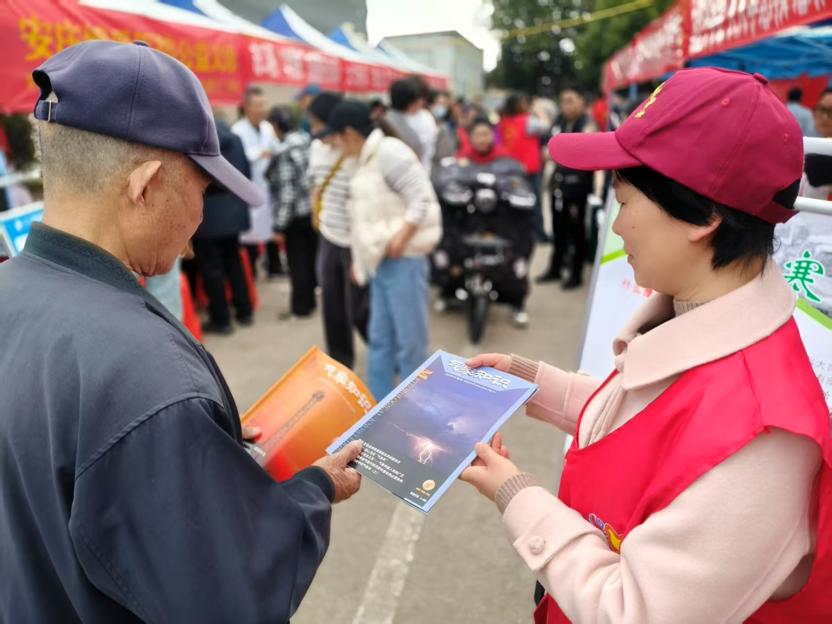 图片1